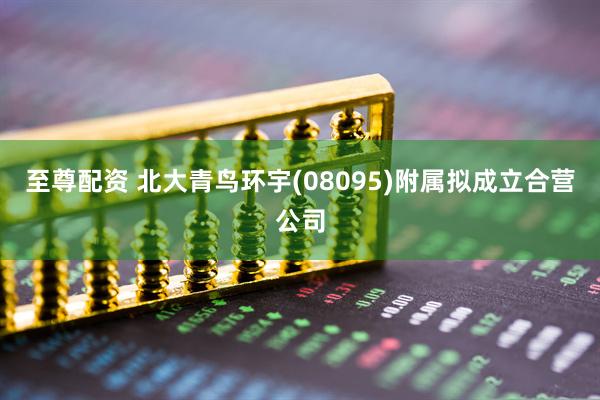 至尊配资 北大青鸟环宇(08095)附属拟成立合营公司